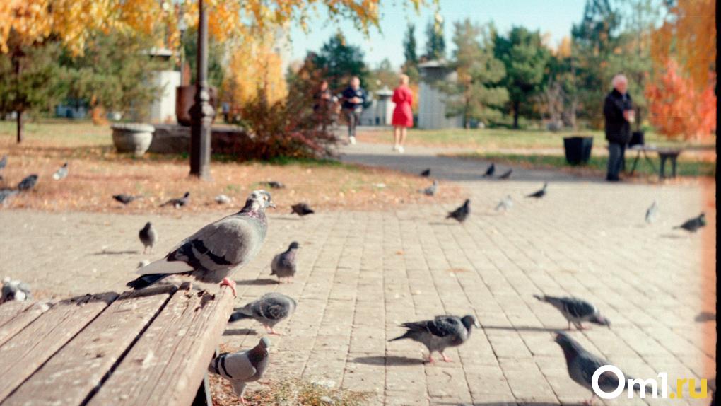 Как выглядит Омск на плёночном фотоаппарате из СССР? Вот что получилось