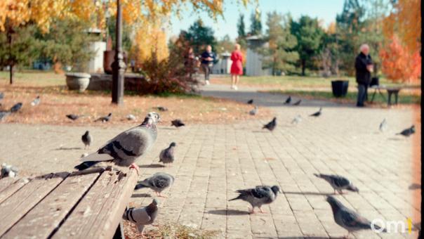 Как выглядит Омск на плёночном фотоаппарате из СССР? Вот что получилось