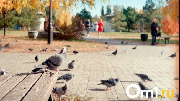 Как выглядит Омск на плёночном фотоаппарате из СССР? Вот что получилось