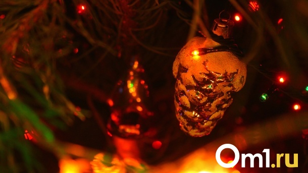 В Омской области новогодняя ночь прошла без серьёзных происшествий