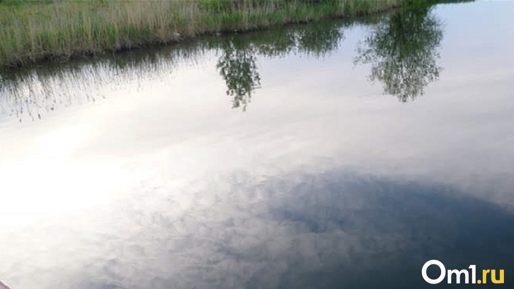 Труп 24-летнего парня обнаружили в озере Спартак в Новосибирске