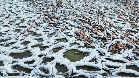 Лёд, похожий на гигантские гнёзда, заметили новосибирцы на Обском море