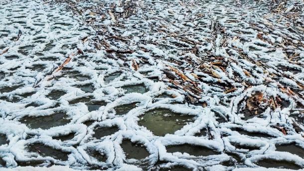 Лёд, похожий на гигантские гнёзда, заметили новосибирцы на Обском море