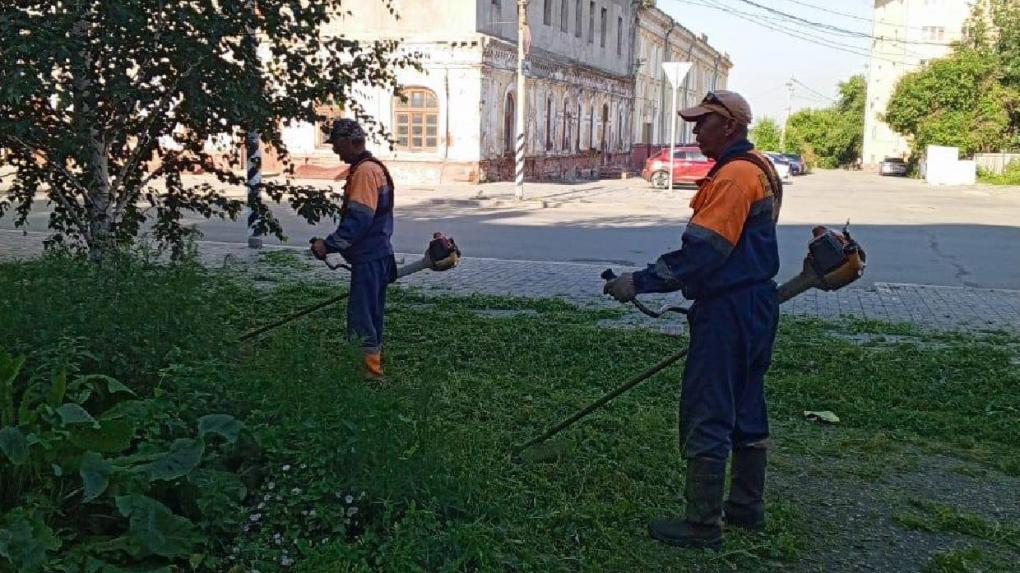 Трава в Омске растёт так быстро, что её приходится косить несколько раз подряд