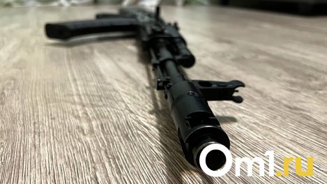 В Омске мужчина открыл стрельбу по соседям из пневматической винтовки