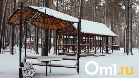 Определён подрядчик для благоустройства сквера Бугакова в Новосибирске