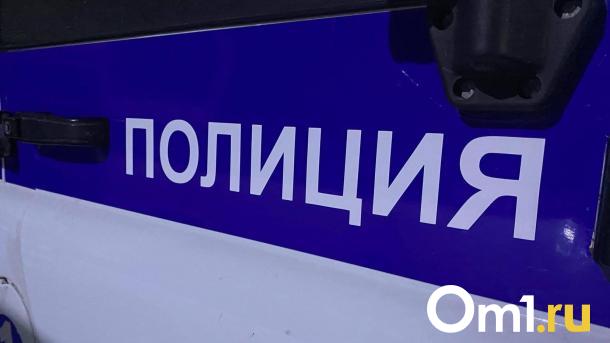 Четырёхлетний омич выбежал из-за припаркованного авто и попал под колёса
