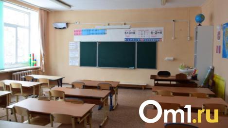 Всё на глазах у детей: в омскую школу проник неизвестный в подозрительном состоянии