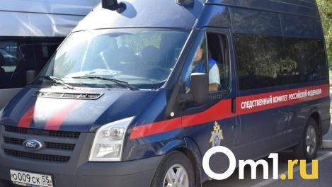 В Новосибирске родителей детей-мигрантов проверят после нападения с отвёрткой