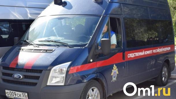 В Новосибирске родителей детей-мигрантов проверят после нападения с отвёрткой