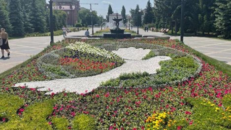 В сквере в центре Омска появилась клумба с изображением голубя Мира