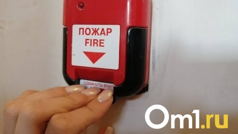 Крик о помощи: омичи боятся соседа, который их едва не сжёг