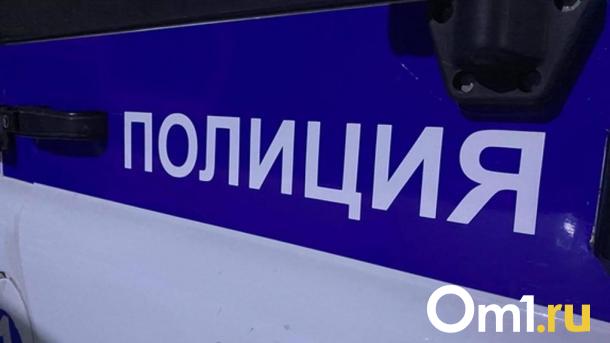 Сбил и скрылся: омские полицейские ищут водителя, из-за которого погиб пешеход