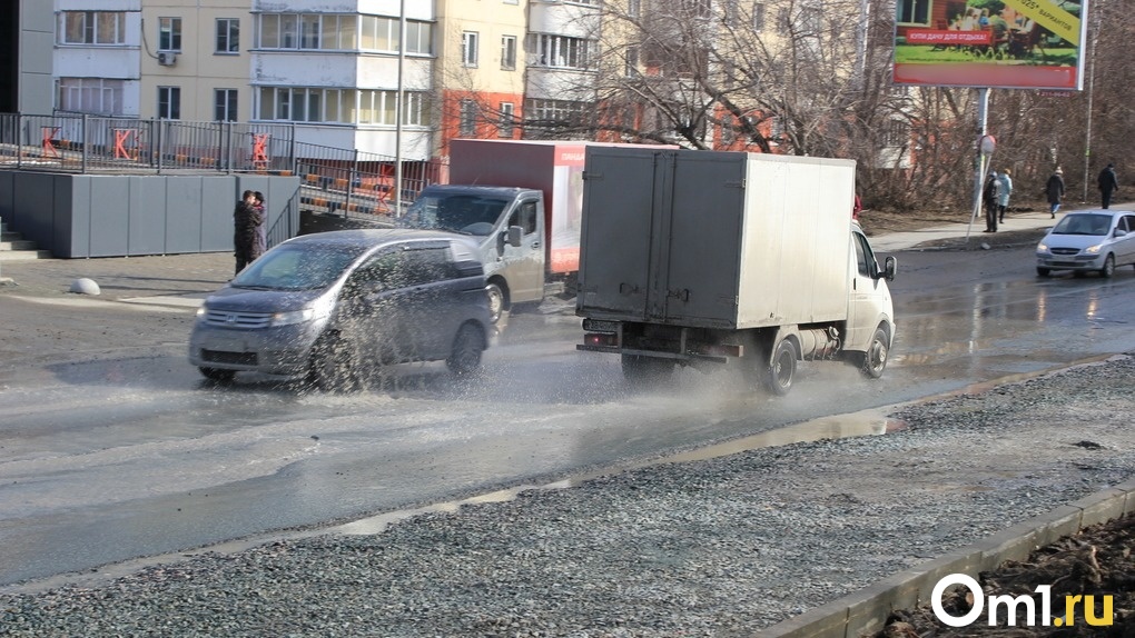 Паркуюсь как хочу: новосибирские автохамы массово уничтожают газоны