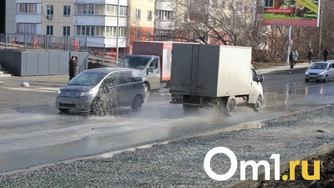 Паркуюсь как хочу: новосибирские автохамы массово уничтожают газоны
