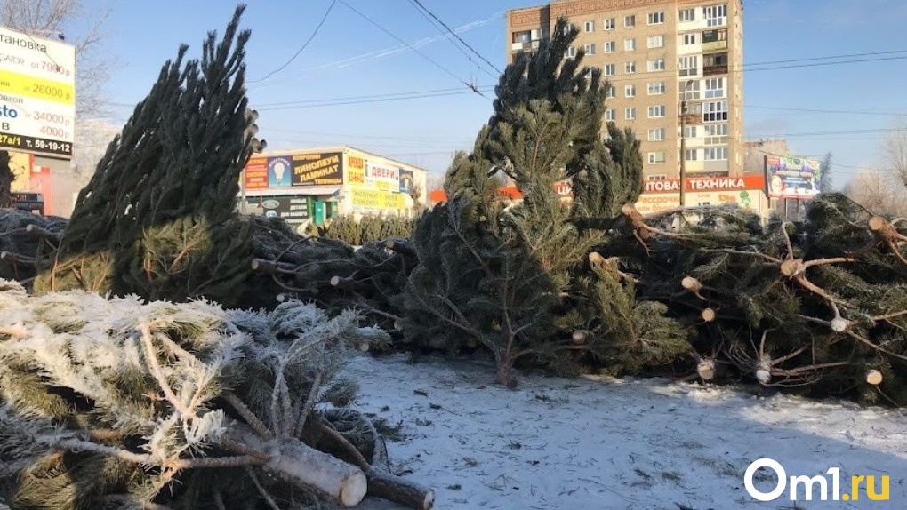 Ёлочные базары не открылись в Омске с 1 декабря