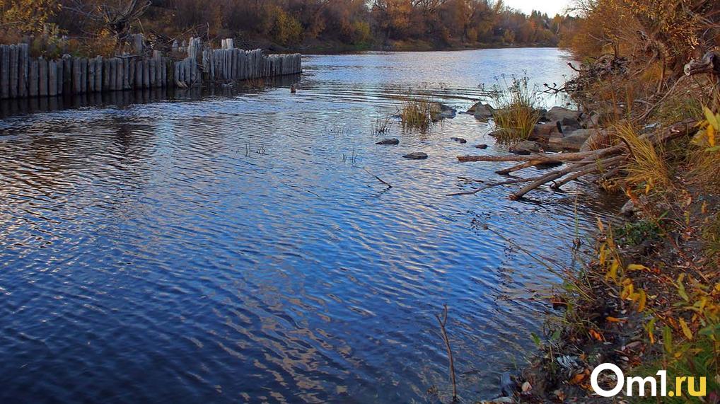 В Усть-Ишиме вода в Иртыше за сутки упала на 1 сантиметр