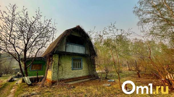 Мэрия предлагает омичам два участка под частные дома по пять «соток»