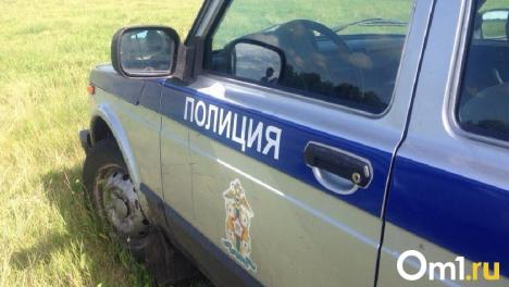 Против омича, который получил два участка по одному документу, могут возбудить дело