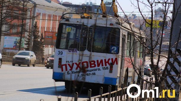 Омские троллейбусы заплатят за то, что слишком много заработали