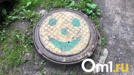 «Дверь в Нарнию»: на омской детской площадке нашли опасный люк