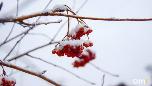Морозы отступят? Потепление до -12 градусов ожидается в Новосибирске