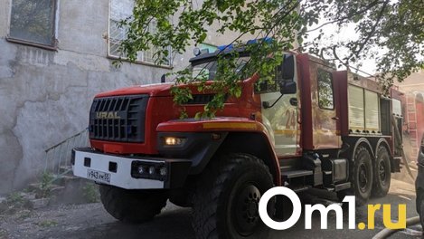 Ночью в Омске сгорела иномарка, припаркованная у дома