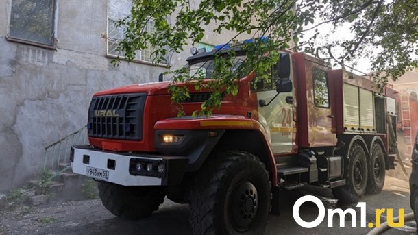 Ночью в Омске сгорела иномарка, припаркованная у дома