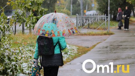 В начале рабочей недели омичей ожидают похолодание, дожди и сильный ветер