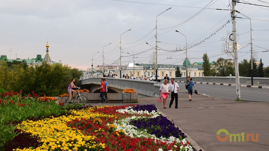 Готовимся к весне: мэрия Омска закупает рассаду цветов на 4 млн рублей