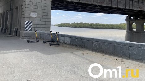 Теперь можно: омичи начали парковать электросамокаты на газонах