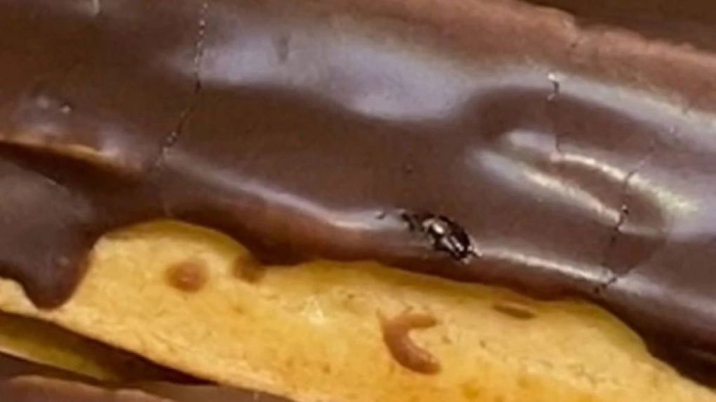«Сняли насекомое и положили десерт назад»: жительница Новосибирска нашла таракана в магазинном эклере