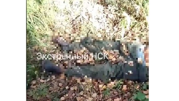 «Головы нет»: разложившийся труп нашли в лесу в Новосибирской области