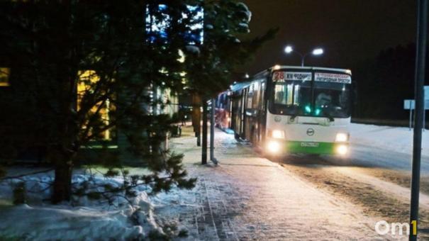 Как будут работать транспорт, медицина в новогодние праздники в Новосибирске
