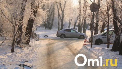 Омичи объезжают перекрытый бульвар Архитекторов через парк 300-летия