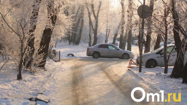 Омичи объезжают перекрытый бульвар Архитекторов через парк 300-летия