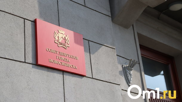 Довыборы на округах Бойко* и Пироговой в Новосибирске пройдут 17 декабря