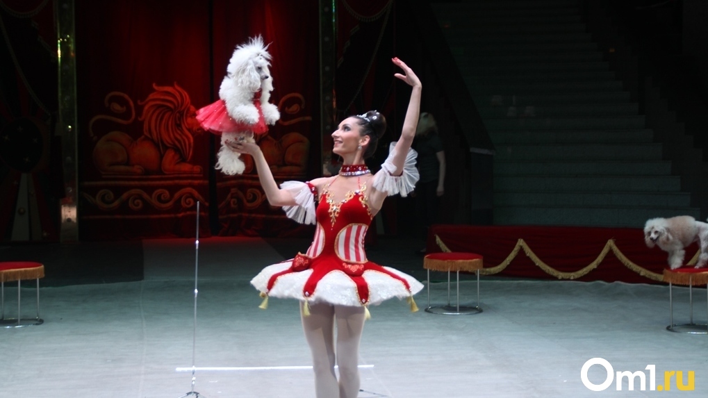 Пудели в пачках и танцы под куполом: фоторепортаж с 50-летнего юбилея Новосибирского цирка