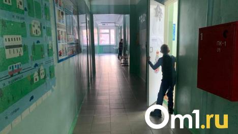 В омской мэрии сообщили, что охраны нет в шести городских школах