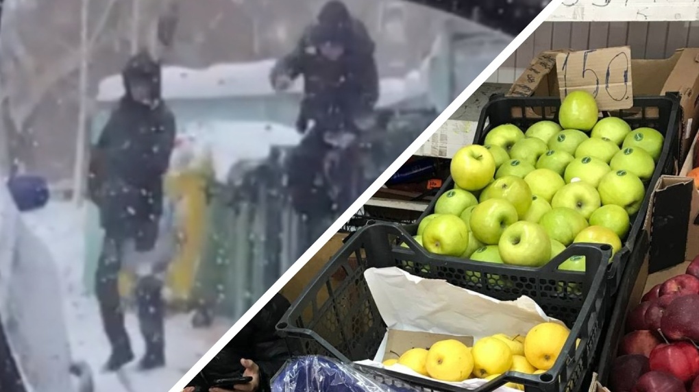Яблоки из помойки продают в Новосибирске за 100 рублей