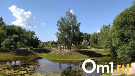 Часть отрезанной от омского дендросада территории хотят отдать под баню