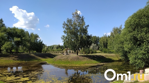Часть отрезанной от омского дендросада территории хотят отдать под баню