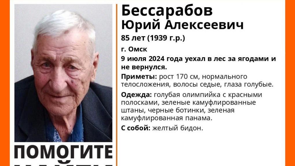 В Омске пенсионер ушёл за ягодами и исчез