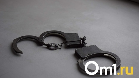 В Омске осудили двух полицейских за психологическое давление на женщину