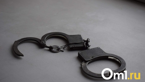 В Омске осудили двух полицейских за психологическое давление на женщину