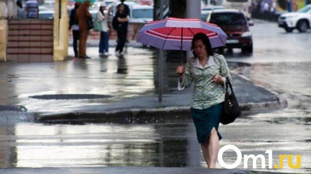 МЧС бьёт тревогу: Новосибирск в опасности из-за надвигающегося шторма