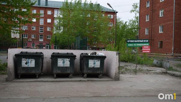 Омичей будут штрафовать на 80 тысяч за парковку у мусорных контейнеров