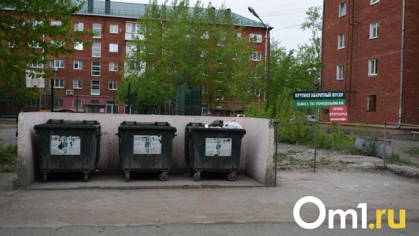 Омичей будут штрафовать на 80 тысяч за парковку у мусорных контейнеров