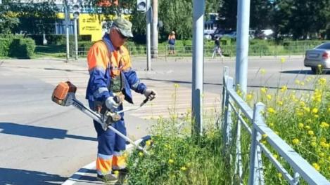 В Омске начали косить траву в парках и на опасных перекрёстках