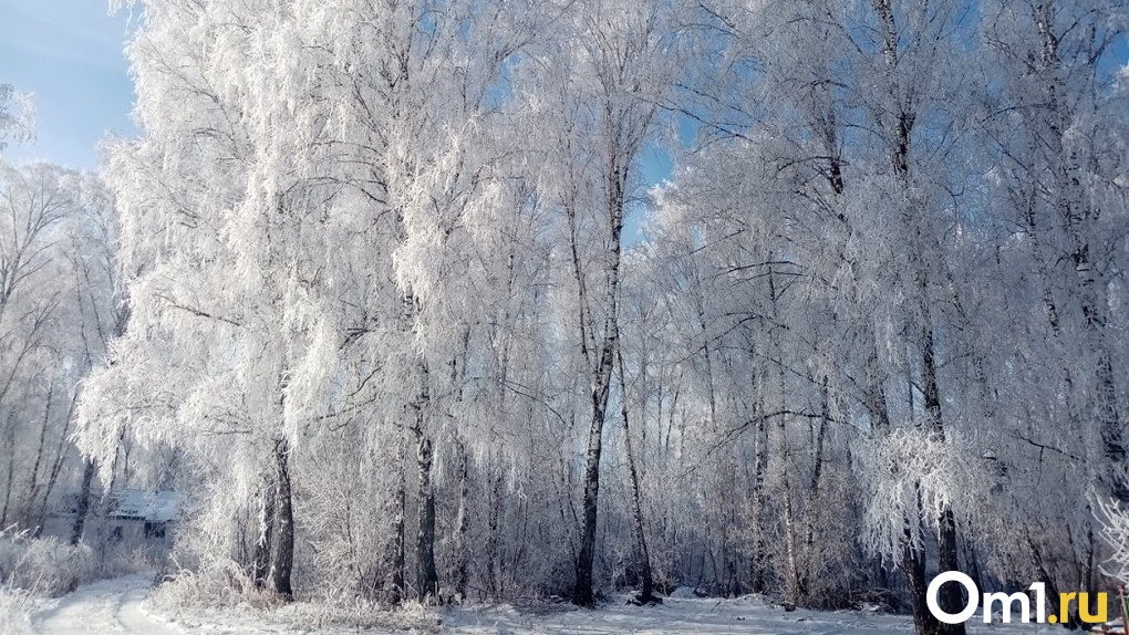 В Омске потеплеет до весенних температур, а потом наступит резкое похолодание